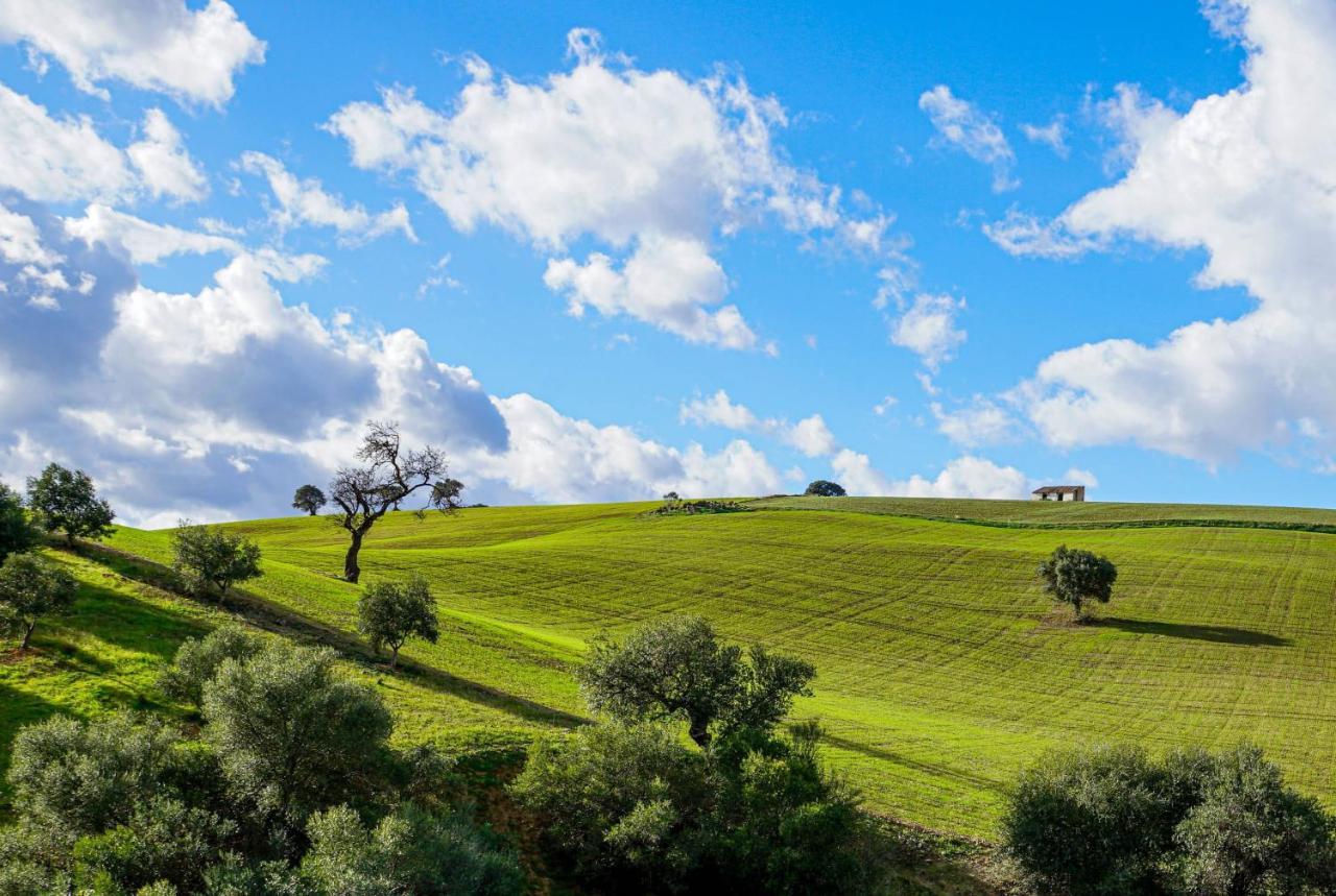 דירות אלורה Casa Al Cerro מראה חיצוני תמונה