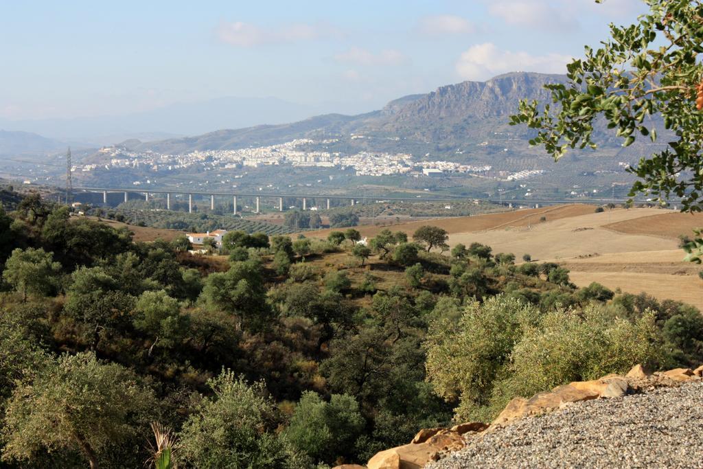דירות אלורה Casa Al Cerro חדר תמונה