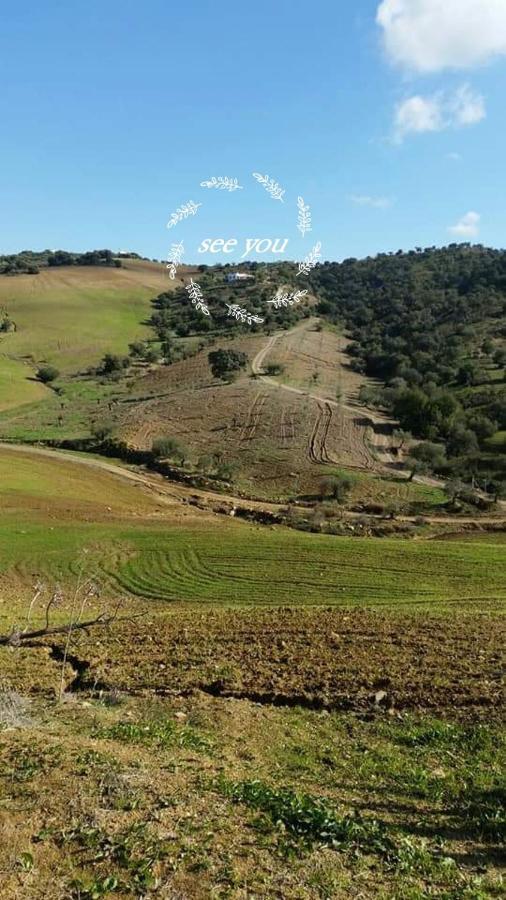 דירות אלורה Casa Al Cerro מראה חיצוני תמונה